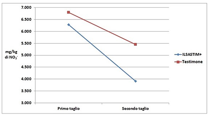 Battipaglia (SA). Su rucola ciclo invernale, Ilsastim+ applicato 2 volte prima del primo taglio e 3 volte prima del secondo taglio, alla dose di 0,5 kg/1.000 m2, ha favorito una netta diminuzione del contenuto di nitrati in foglia, rispetto al testimone non trattato.